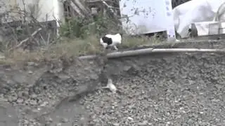 Мать никогда не бросит своего ребенка :)