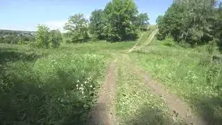 Мои тренировки