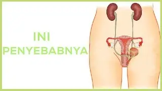 Mengapa Organ Kewanitaan Sering Gatal ? Begini Cara Mengatasinya !