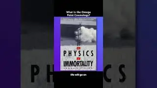 What is the Omega Point Cosmology?