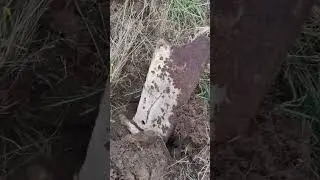 Нормальный металл 
