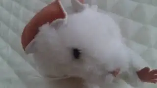 Пушок мыш и стрелять в игрушки 🙁😀😀😀🔫🏹