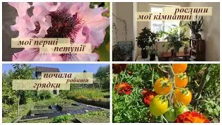 Нарешті почала робити теплі грядки 💚 Мої Кімнатні рослини ☘️Купили дачу ч. 35🏡