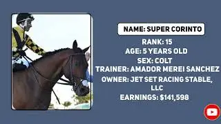 2024 Pegasus World Cup G1 World Class Horse Race