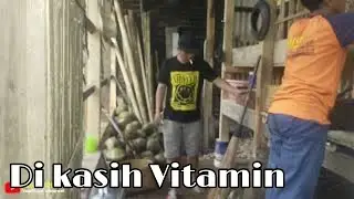 TERNAK KAMBING ! KAMBINGNYA DI KASIH VITAMIN SUPAYA SEHAT#ternakkambing