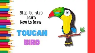 How to draw a Colorful Toucan Bird
