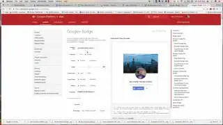 Adding a google badge button on your website