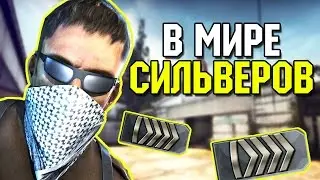 В МИРЕ СИЛЬВЕРОВ #1 CS:GO