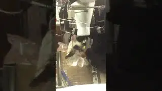 Ensacadora semiautomática ILERFIL AN - PESO NETO