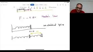 Hooke's Law Introduction