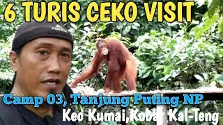 Bersama 6 Turis Ceko Visit Ke Camp 3 Leakey, Orangutan Feeding Time#bersama#6th#turis#ceko #shorts