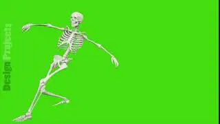 Skeleton dancing. Seamless loop animation on green screen.