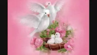 On The Wings Of A Dove