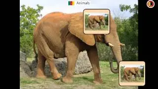 Omnitux