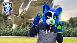 All my fursuits from 2011 to the present 2023