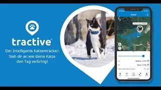 Tractive GPS CAT Tracker für Katzen