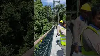 [Central Water Catchment Part 2] Entrance and Walk along Treetop Walk March 2024
