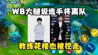 WB大腿级选手将离队，教练花楼也传闻被挖走，真的合适吗