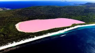 Sights of Australia - Pink Lake Hiller.  Достопримечательности Австралии - Розовое озеро Хиллер.