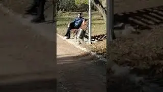 Отправить
