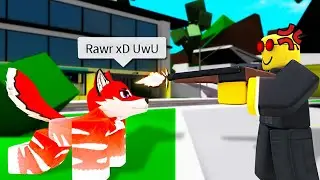 Roblox Furries Be Like...