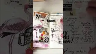 Looking through my journal from 2017 #travelersnotebook #journaling #journalflipthrough