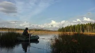 Осенняя рыбалка на озере 