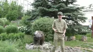 Влад Матвеев , Томск
