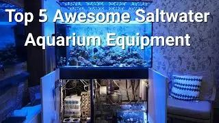 My Top 5 Favourite Aquarium Equipment... And 1 Thing I HATE!