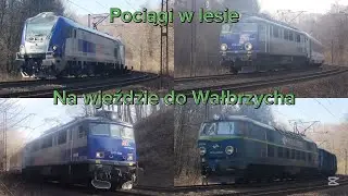 Pociągi w lesie między Świebodzicami a Wałbrzychem 9.03.2025