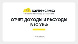Отчет Структура доходов расходов в 1С:УНФ + CRM42