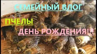 Как поживают пчелы. День Рождения и что Подарили. ПРИЯТНОГО ПРОСМОТРА.
