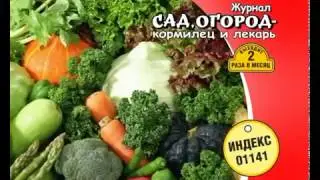 Журнал "Сад,огород - кормилец и лекарь" + "Спецвыпуск "Сад, огород - кормилец и лекарь"