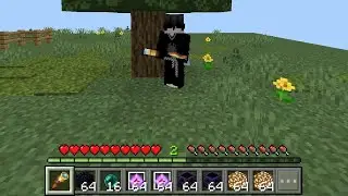 Minecraft LillianCrown SMP JOIN NOW!