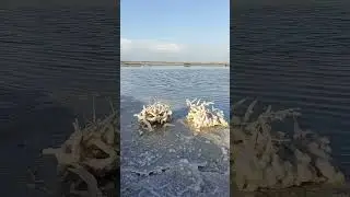 Соленое озеро Баскунчак