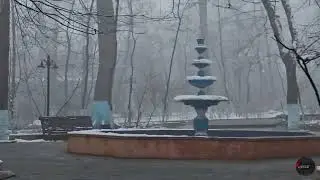 Туманная Погода / Кусары Парк Нариманов  ( 21.02.2024 )