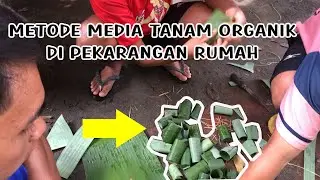 MEMBUAT MEDIA TANAM ORGANIK YANG MUDAH DAN MURAH