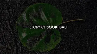Soo Chan, The Story of Soori Bali (Part 1: Presentation)