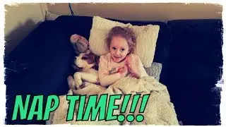 Little Girl Tucks Her Beagle Into a Blanket for a Nap!