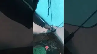 Подлещик на мотыля