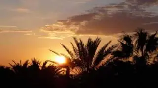 أبو موسى الأشعري