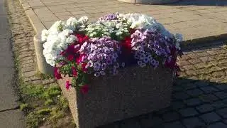 Стокгольм, Карлштадт, Осло | КРУТЬ | ПУТЕШЕСТВИЕ | КРАСОТА