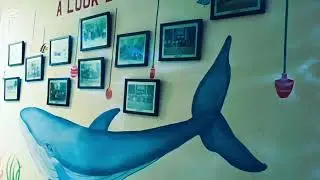 চট্টগ্রাম ভেটেরিনারি ও এনিম্যাল সায়েন্সেস বিশ্ববিদ্যালয়