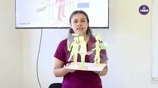 Planos y ejes anatómicos del cuerpo humano