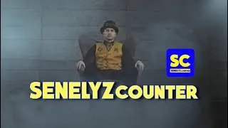 Senelyzcounter: a digital revolution!