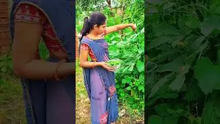 ભીંડા નું ટેસ્ટી શાક ##shortvideos #recipe #food #viralvideo #shorts