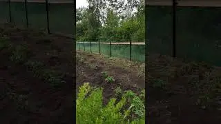 Свершилось