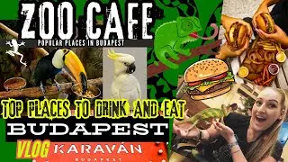 BUDAPESZT 🧐 SPRAWDZAMY TOP MIEJSCA FURORA KAWIARNI ZE ZWIERZĘTAMI I LOKALNY ULICZNY STREET FOOD VLOG