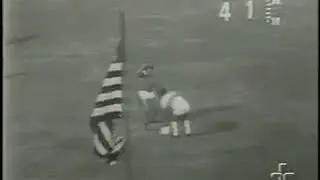 Palmeiras campeão paulista de 1972