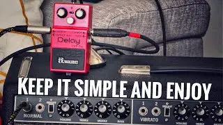 Fender '65 Twin Reverb Custom 15 with Boss DM-2w Analog Delay Edge of oscillation